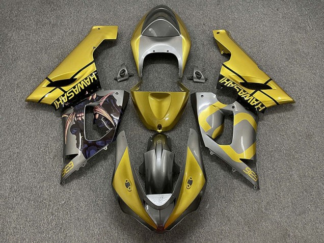 05-06 Gold and Silver ZX6R Fairings